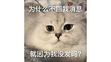 为什么不回消息