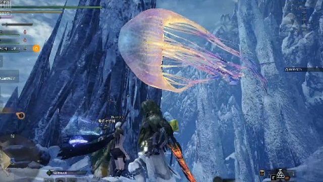 终于抓到大水母了