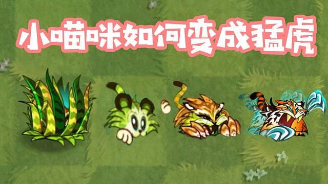 植物大战僵尸：小猫咪进化成猛虎的？小蛙变母老虎？