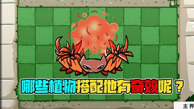 植物大战僵尸：哪些植物搭配鲜血花圈会有意想不到的效果呢？