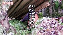 野外露营，用木头和树皮搭建庇护所过夜……#野外露营#户外生存