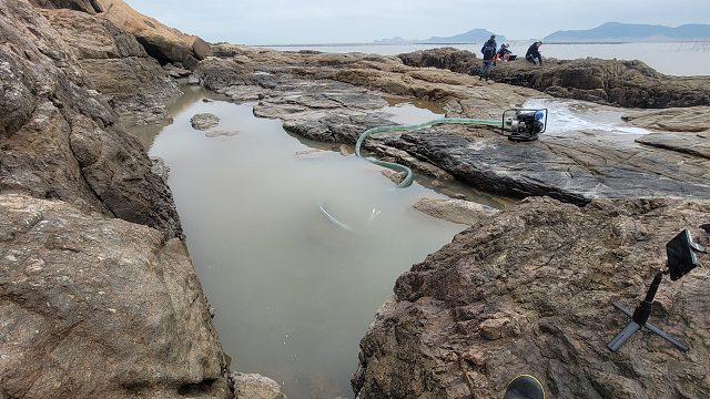 年底收官之作，鱼群聚集几十米大水坑过大年，抓鱼场面热血沸腾