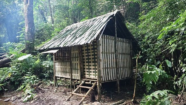 004 .生存本能：捕捉動物並完成房屋 EP.3