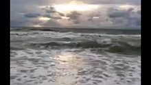 海
