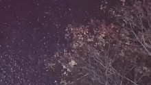 下雪啦