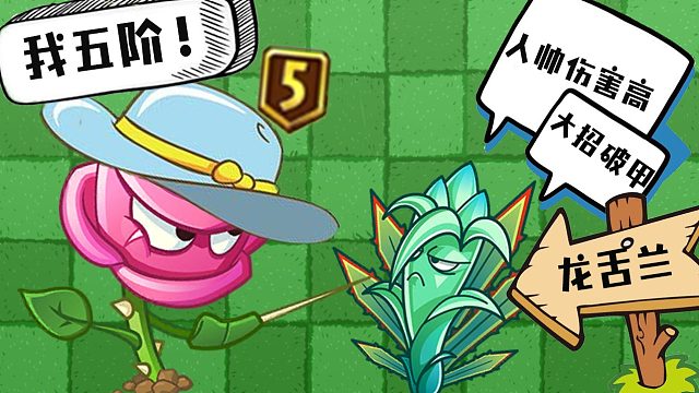 植物大战僵尸：玫瑰剑客和龙舌兰的战斗！攀比心理逐渐失控？