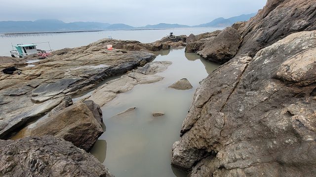 虎年开门红，荒岛大水坑成群肥美又值钱的大鱼聚集，抓得停不下来