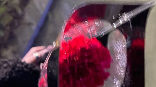 睡前小故事44（我都知道）