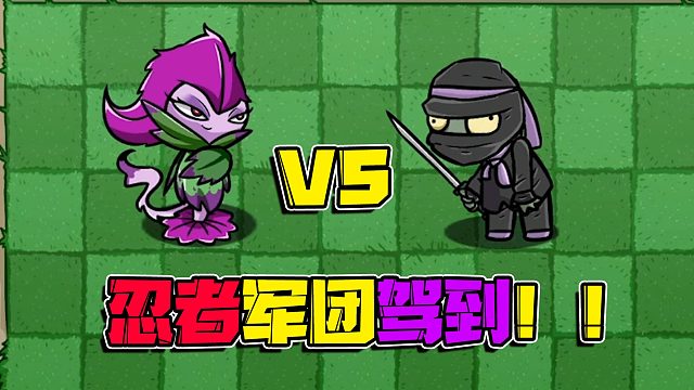 植物大战僵尸：忍者军团加入战场！这一个个的隐身冲锋还真是难办呀！