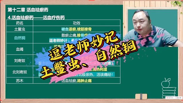 逗老师妙记（土鳖虫、自然铜）执业药师王何伟药考巧记王逗逗老师