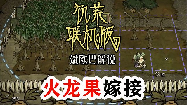 饥荒联机版丨43#火龙果嫁接