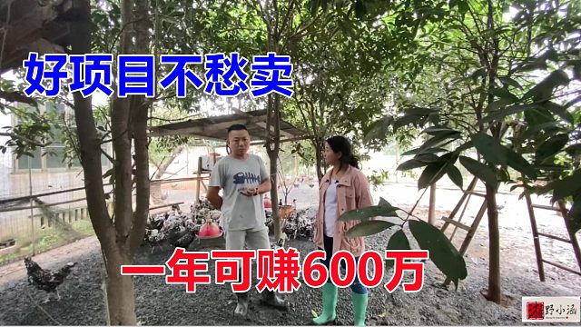 3斤左右卖100多，有人年入600万，全家人致富，这养殖将火爆！