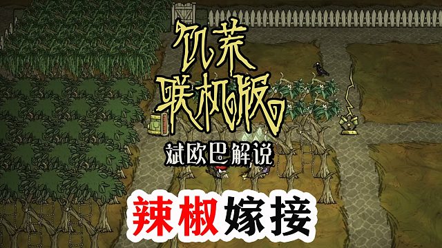 饥荒联机版丨45#辣椒嫁接