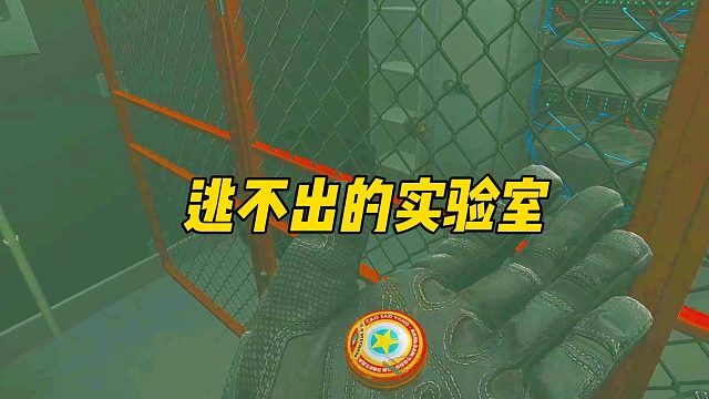 新年第一把实验室