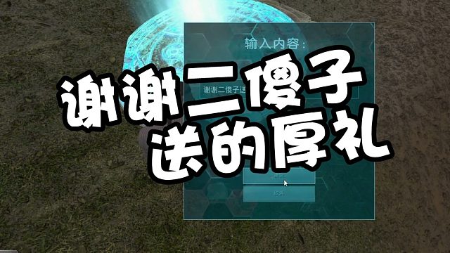 【龙飞】谢谢二傻子的厚礼