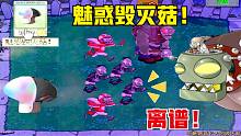 植物大战僵尸：毁灭菇吃魅惑菇！直接魅惑所有僵尸！僵王直呼离谱