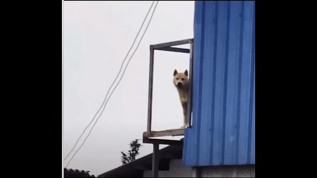 心藏善良，眼带光芒，活成想要的模样