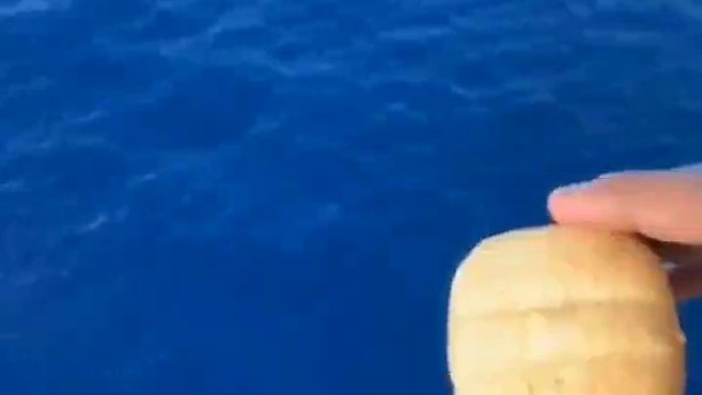 在着没有空军这个词