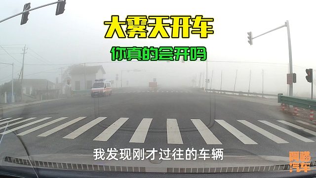 大雾天开车出门，发现不会开车的太多了，看看你中招了吗