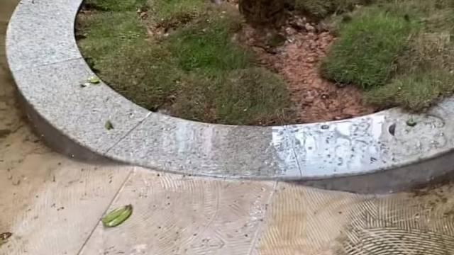 金钱龟是怎样度过冬眠期的呢