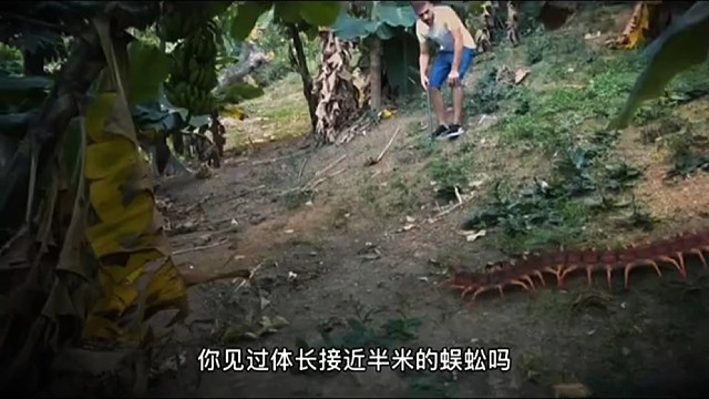 你害怕蜈蚣吗？