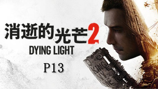 《消逝的光芒2》最高難度主線流程攻略P13
