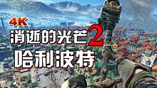 小宇《消逝的光芒2》哈利波特彩彈