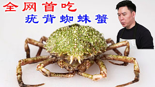 全網(wǎng)首吃疣背蜘蛛蟹，全程驚喜連連，差點hold不住
