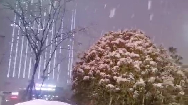 下雪了
