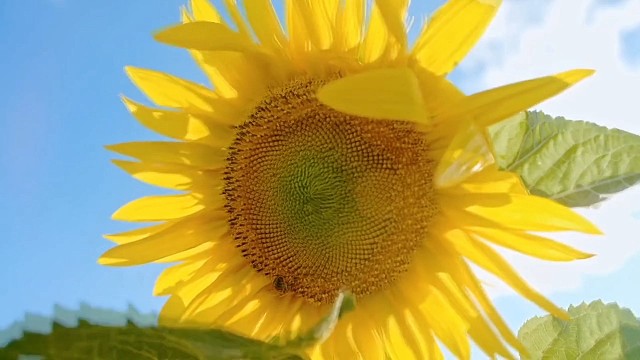 朝朝暮暮弯弯眉目在生活的万千细节里每一天黄昏温暖墙画静谧星辰闪烁爱与未来