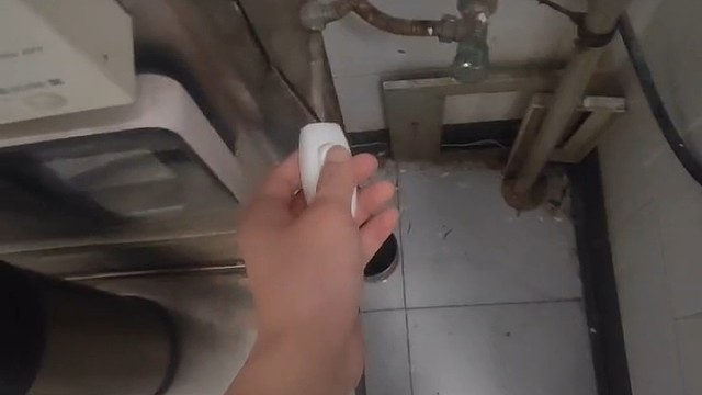 免费薅学校羊毛