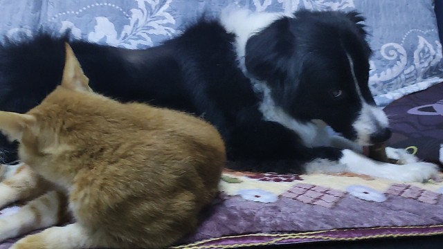 又是吃货的一天