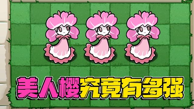 植物大战僵尸：新植物美人樱的辅助能力可以有多恐怖！