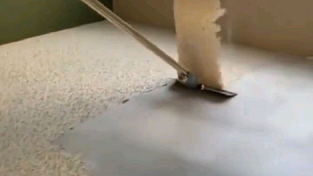 这一次铲的大快一点的