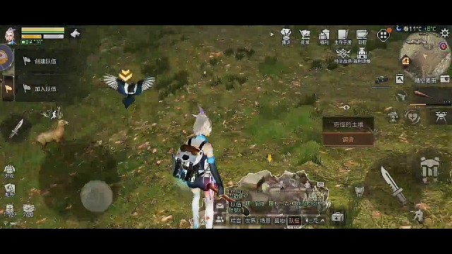 每天一只小笨鸟