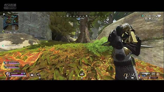 欢迎来到Kevin的直播间