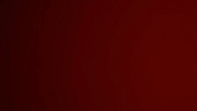 王莽第三回权势滔天26