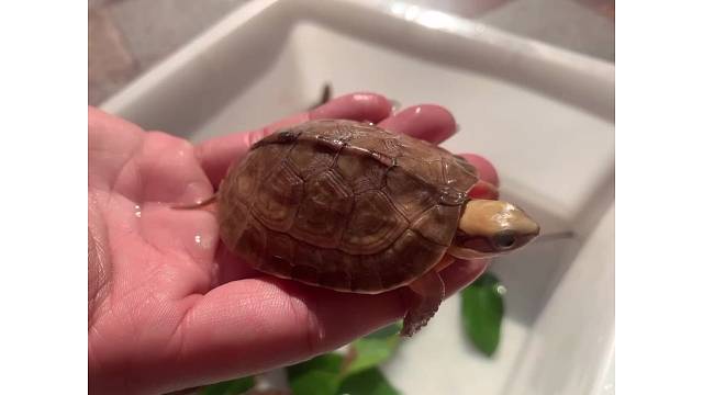 你好，久违的太阳