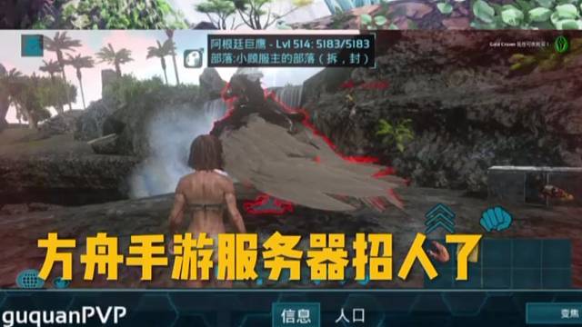 长期服务器招人