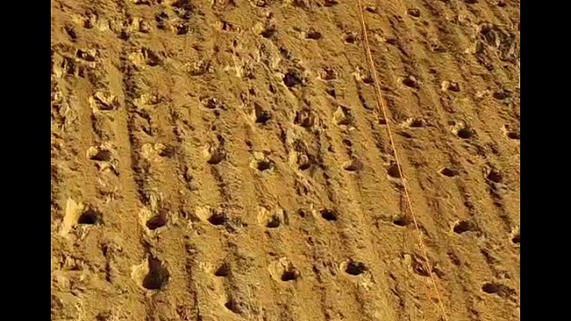 有活的可以联系