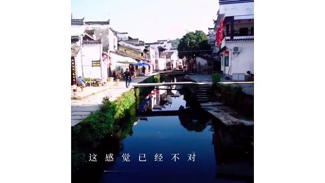 小小一颗鱼心