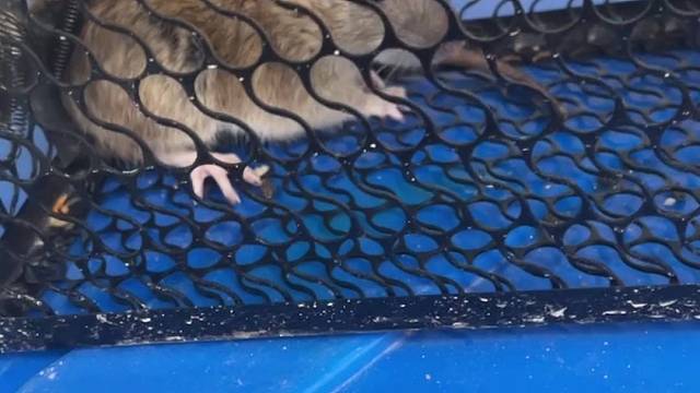 我可爱滴小宝贝