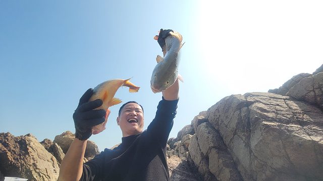 乱石林立的水坑发现通体金黄的大鱼，小明激动的语无伦次，发财了