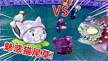 植物大战僵尸：猫尾草吃了魅惑菇？魅惑所有红眼！轻松秒掉僵王！