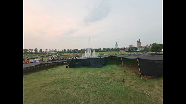 我喜欢你
上一行是真的
上一行也是真的