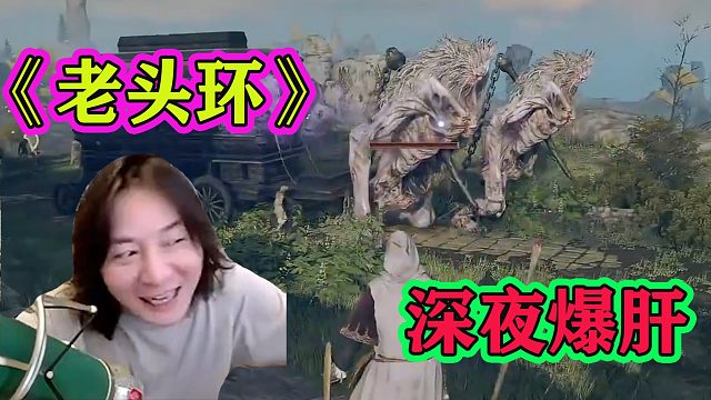 张大仙深夜爆肝艾尔登法环，选了法师职业：峡谷的法王又回来啦