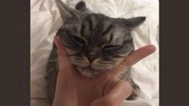 欢迎来到我的直播间