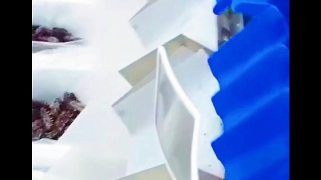 正宗野生海参，喜欢就是吃。