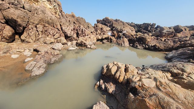 盘坑的最佳季节来临，也是荒岛水坑海货的爆发期，一起来抓鱼吧