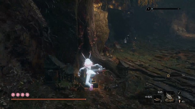 只狼正常版本——幻影破戒僧速杀